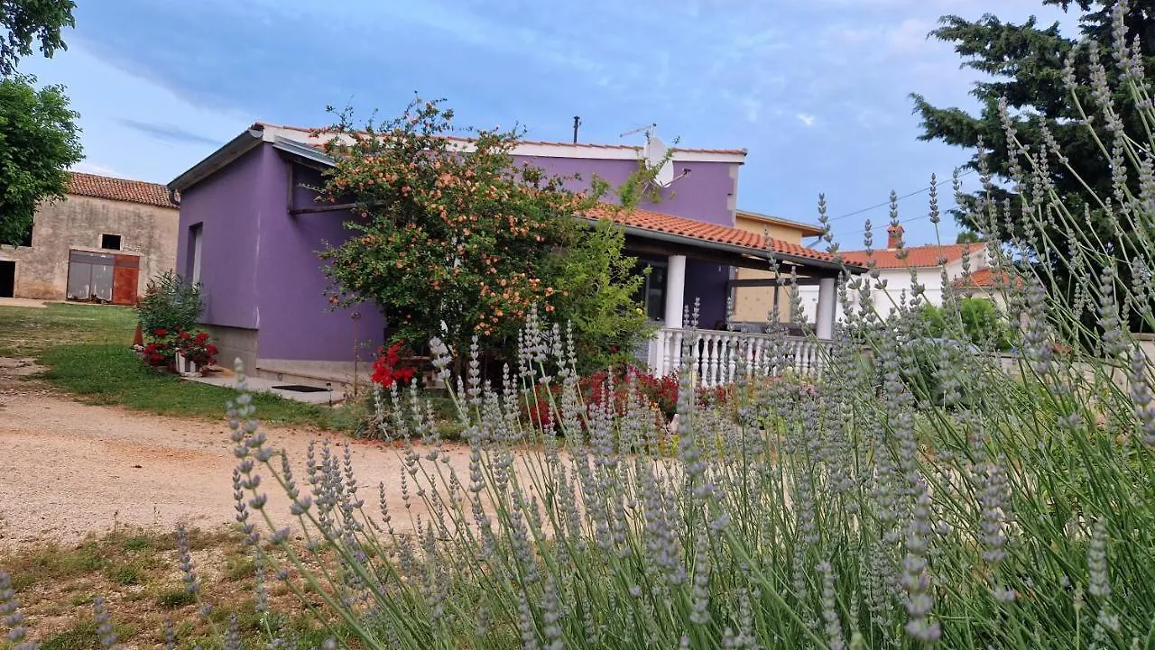 Charming Cozy Holliday House 2+2 Vila Valtura